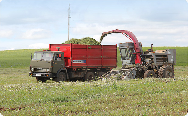 Автомобиль-самосвал с боковой разгрузкой «AGROMASTER-6512/10» «AGROMASTER-6512/14»